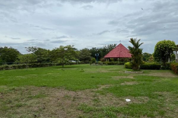 Farm with residence in ocú