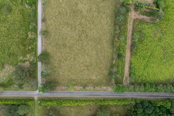 Prime flat land for sale in cochea abajo, david