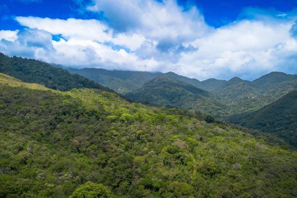 18.4 hectare land close to el cope, cocle