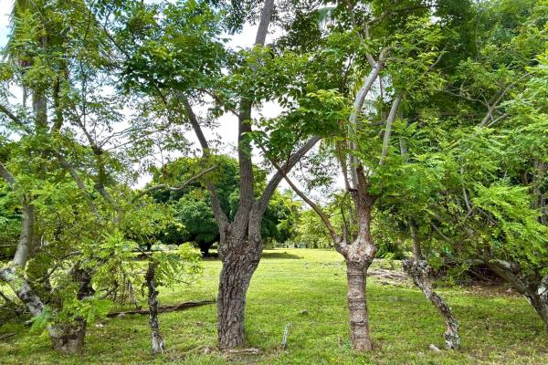 Venta de terreno en gorgona