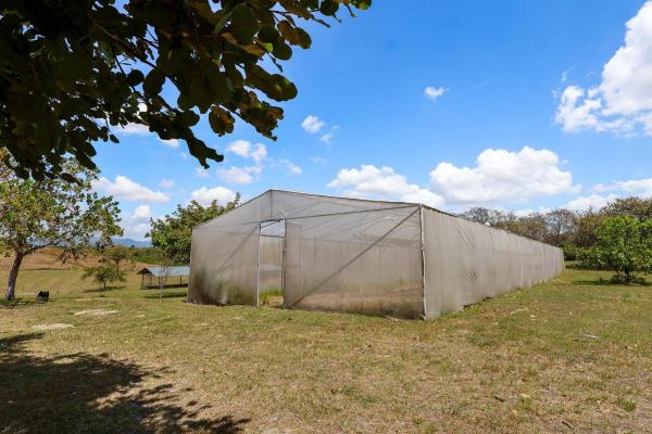 Venta de granja con mejoras en san carlos