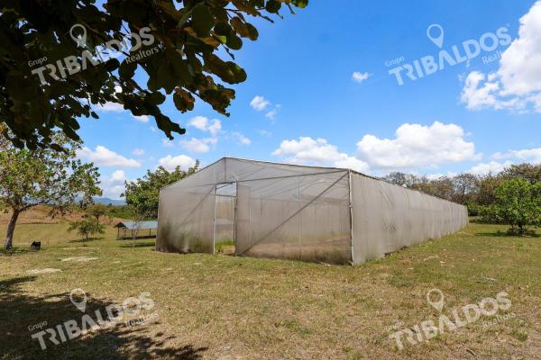 Venta de granja con mejoras en san carlos