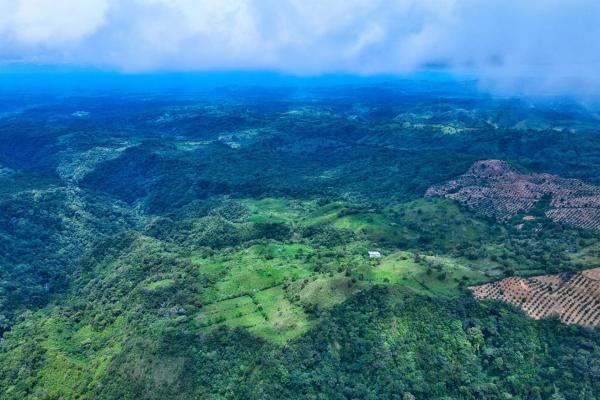 55.74 hectares of paradise in the mountains