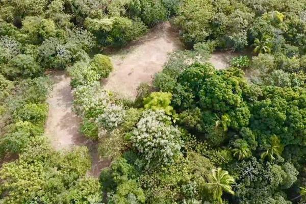 Finca de 4.3 hectareas – proyecto ideal comunidad