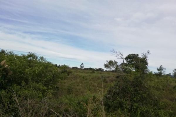 Amplios 5 hectáreas en venta en alto boquete