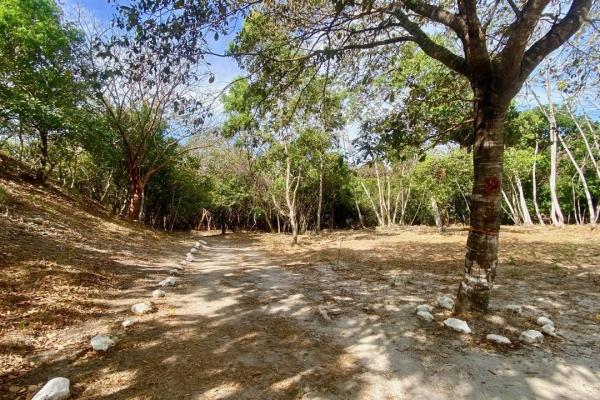4.3 hectares finca – ideal community project
