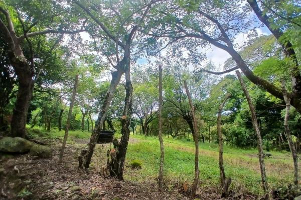 Land for sale, facing the street