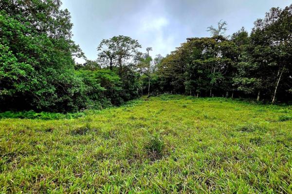 96.10 hectare in boquerón, las monjas