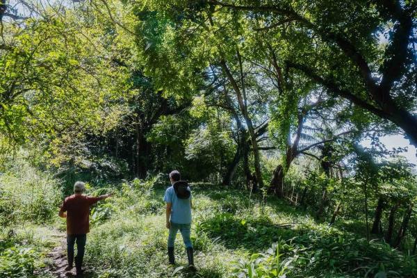 Expansive land for sale in las lomas, david