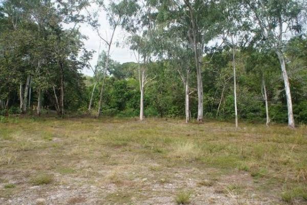 Land for sale san felix chiriqui