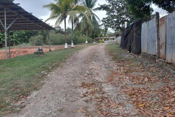 Sale of a property on the inter-american highway