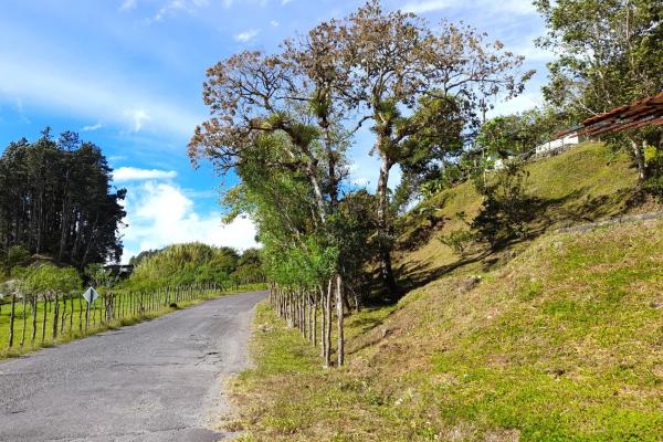 Lote privilegiado en venta en volcán