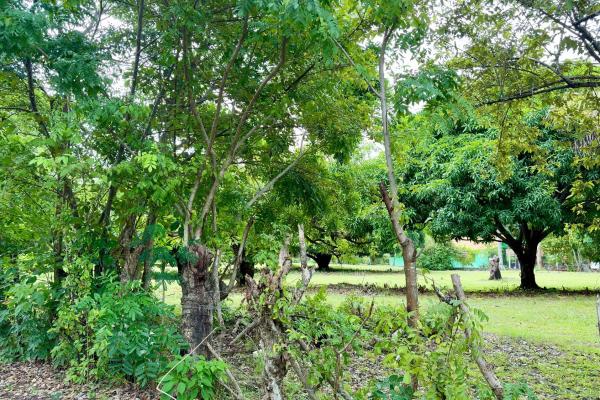 Venta de terreno en gorgona