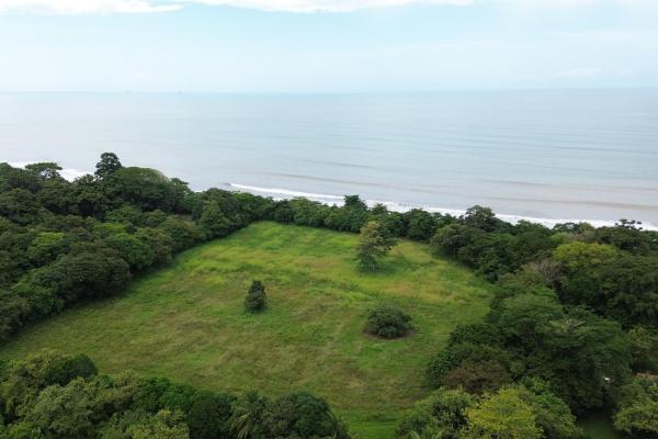 +9 hectares of flat beachfront land for sale