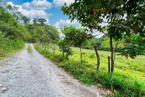 Naturaleza, espacio y potencial en un solo lugar