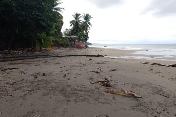 Terreno 69 hectareas en puerto armuelles, limones oportunidad de inversión