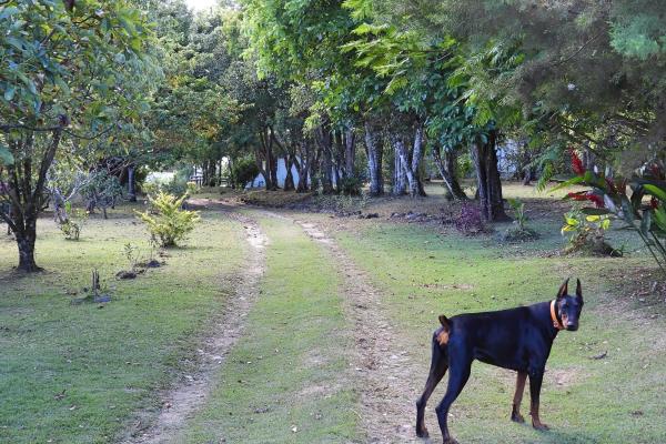 Country estate with multiple buildings in palmira