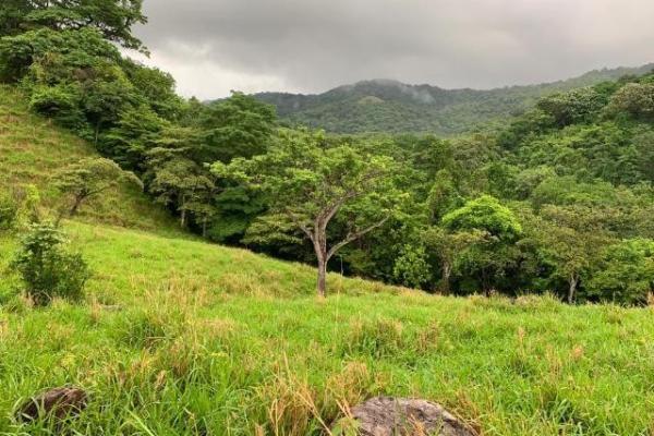 Fincas ganaderas en chame