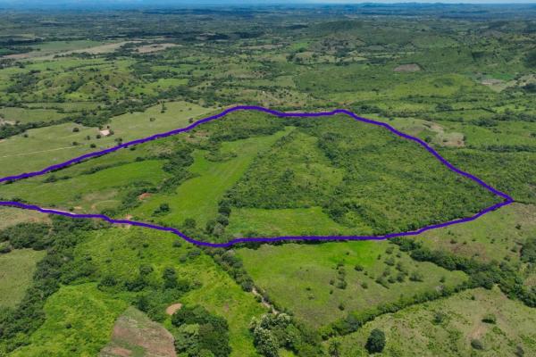 Venta de finca agricola ideal para ganadería y otros cultivos en ocú