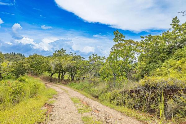 6-hectare hill property for sale in boca chica
