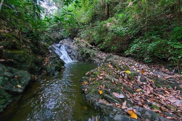 Cambutal lush property for sale near town