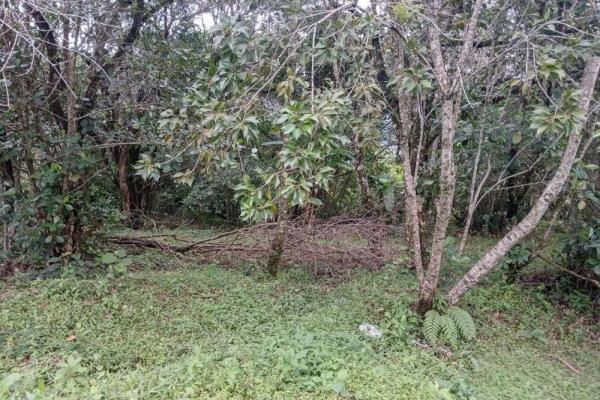 Amplio terreno plano de 9.229 m² en alto boquete