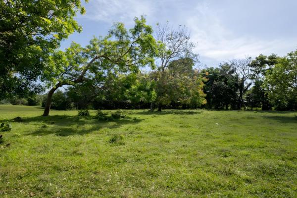 Four hectare property for urbanization in david