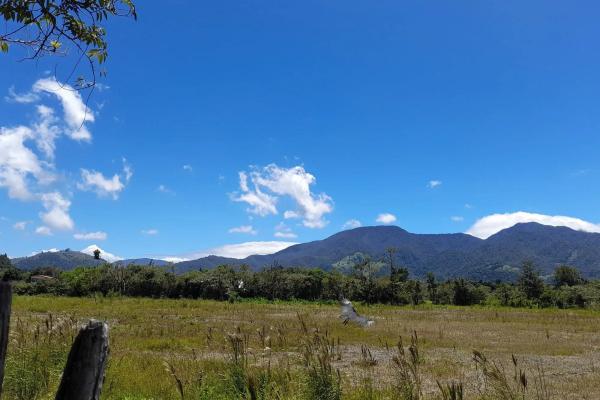 Flat road-front lot for sale in volcan