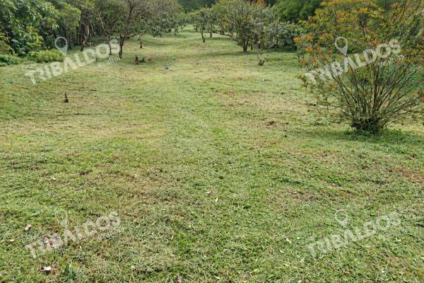 Venta de terreno ecoturístico a 8km de el pueblo de el valle de antón