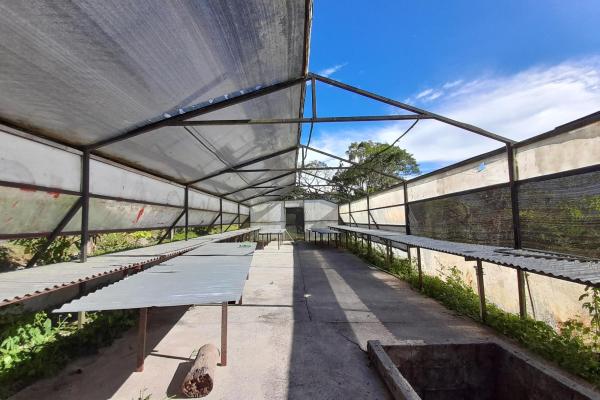 Prime volcán lot for sale