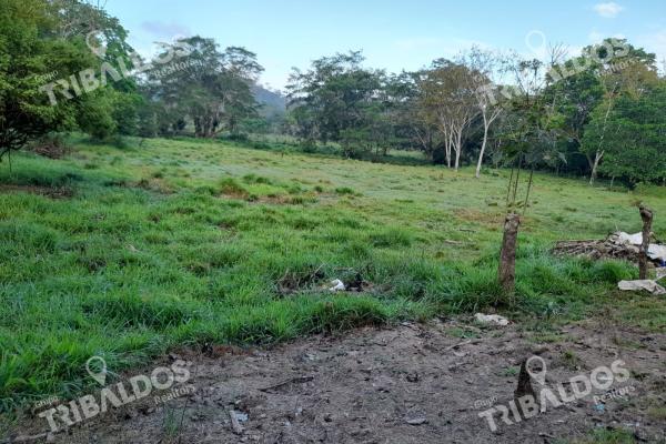 Terreno en meteti