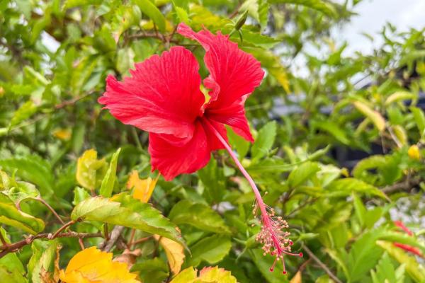 Condominio amueblado de 2 habitaciones en venta