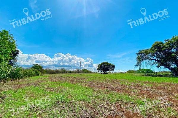 Venta de finca en guararé