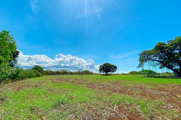 Venta de finca en guararé