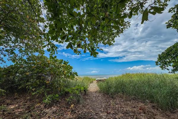 +9 hectares of flat beachfront land for sale