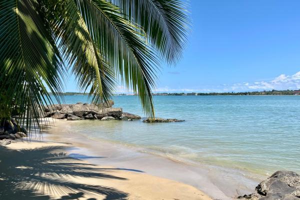 Prime oceanfront estate w/dock & beach, isla colon