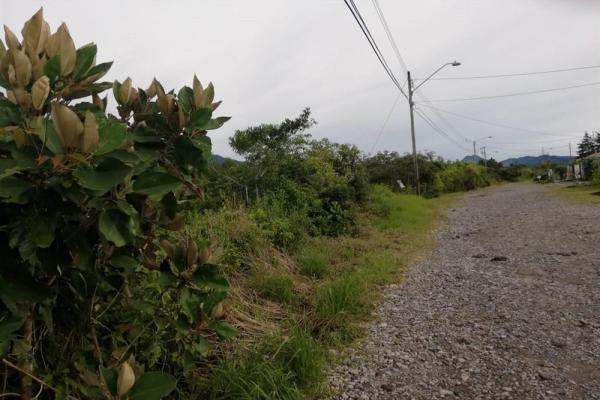 Amplios 5 hectáreas en venta en alto boquete