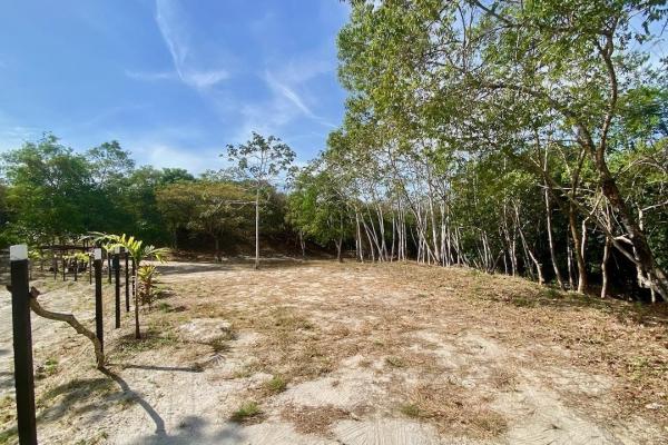 4.3 hectares finca – ideal community project