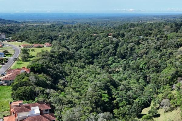 Terreno de 6,9 ha junto a boquete country club — venta de globo entero
