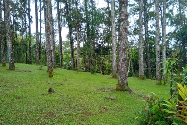 Altos de cerro azul house for rent