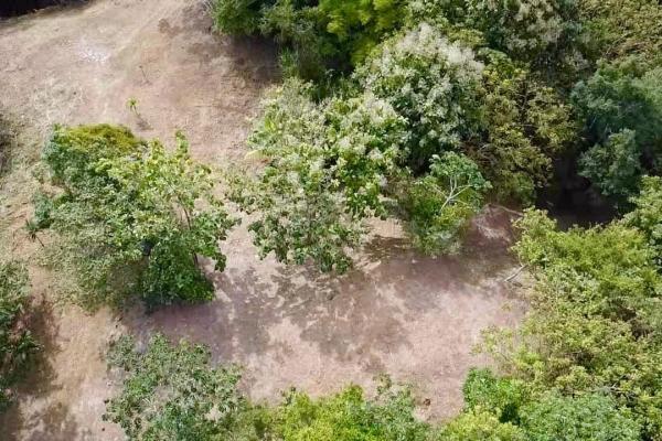 Finca de 4.3 hectareas – proyecto ideal comunidad