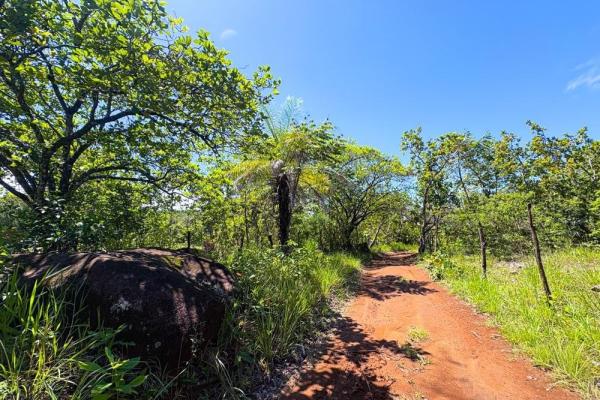 Spacious 59,086 m² land in síndigo, caldera