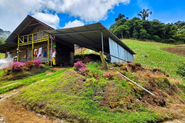 Finca agrícola en venta – cerro punta, chiriquí