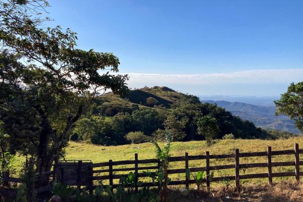 Cattle farm or private retreat