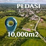 Se vende terreno en pedasi