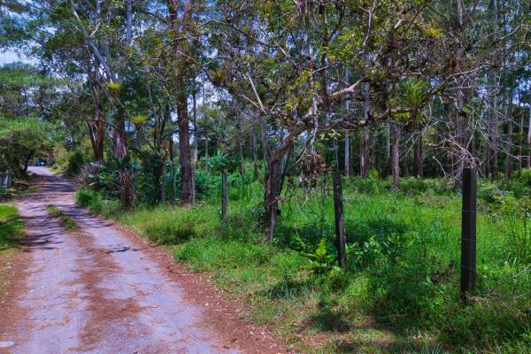 Land with a natural creek