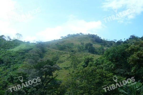Venta de terreno frente a playa puerto lindo colón