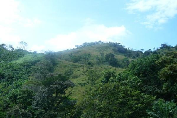 Venta de terreno frente a playa puerto lindo colón