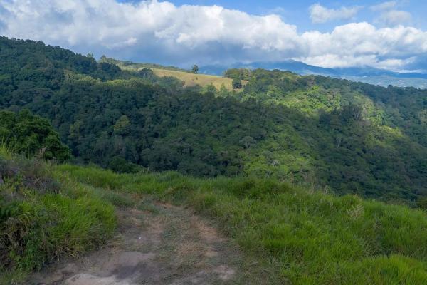 22 hectares with creek and mountain views