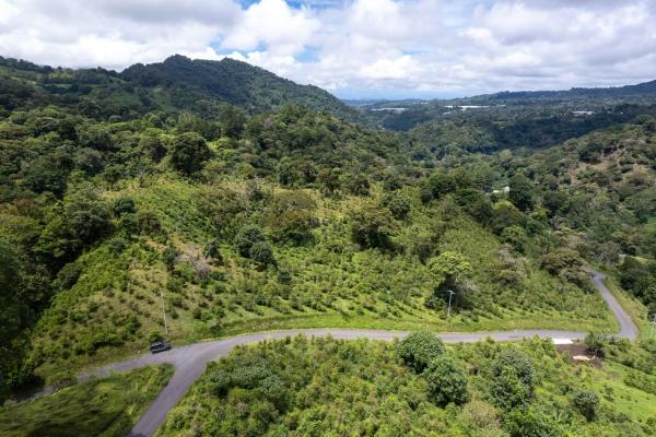 12 plus - ha producing coffee farm in boquete